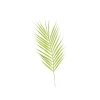 Addobbo Foglia Di Palme 69Cm