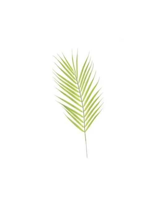 Addobbo Foglia Di Palme 69Cm
