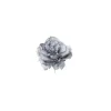 Pick Peonia Blu