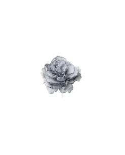 Pick Peonia Blu