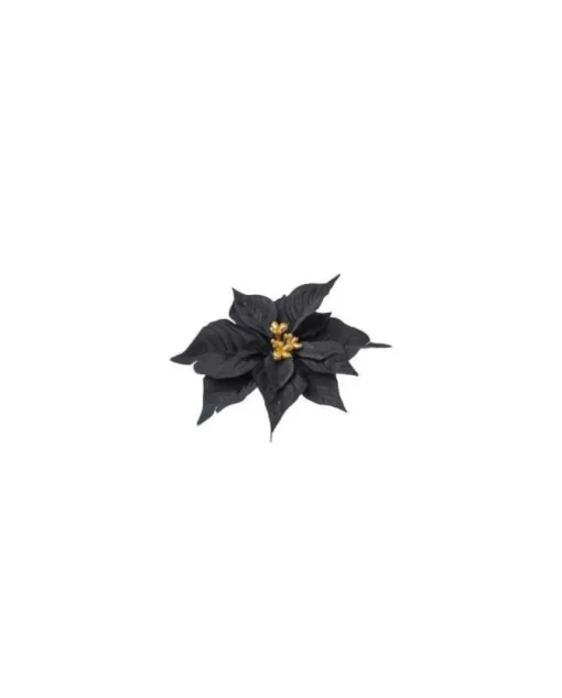 Pick Poinsettia Nero