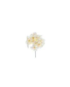 Pick Ramo Ortensia Crema