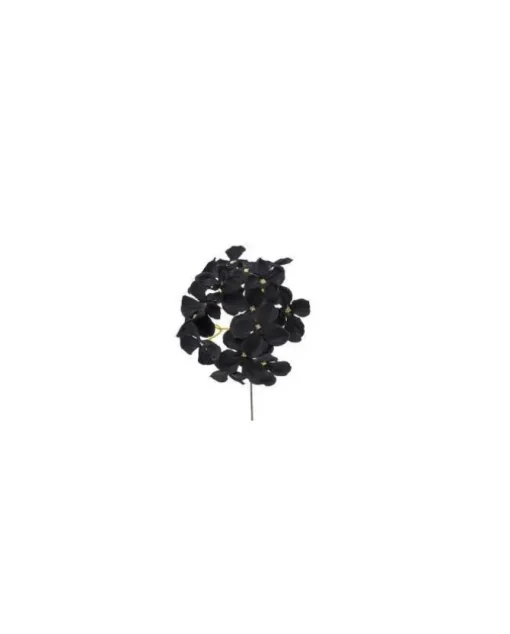 Pick Ramo Ortensia Nero